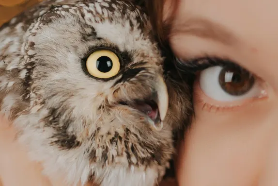 Casino Loco Win Supporto